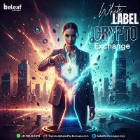Launch Quickly with White Label Crypto Software: A Smart Entrepreneur's Choice